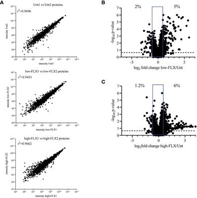 Alterations in the HLA-B*57:01 Immunopeptidome by Flucloxacillin and Immunogenicity of Drug-Haptenated Peptides